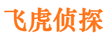 辽中侦探公司